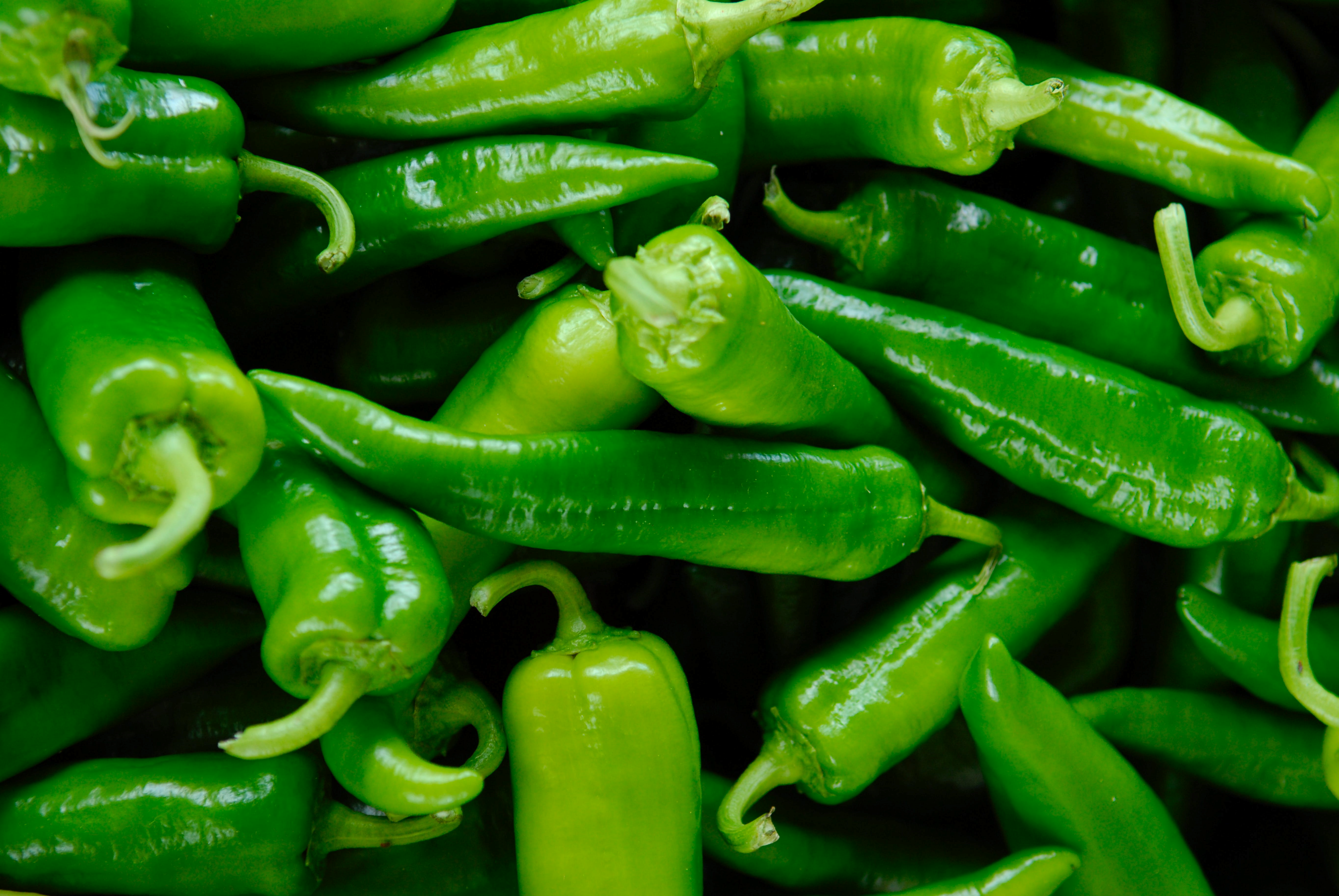 hatch-green-chile